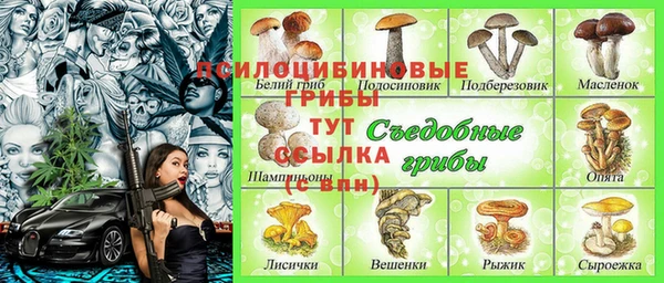 прущий лед Армянск