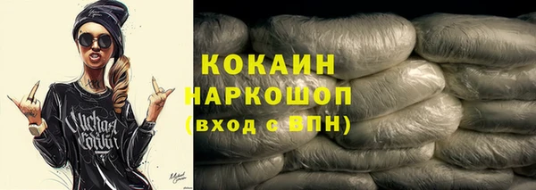 индика Арсеньев