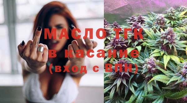 индика Арсеньев