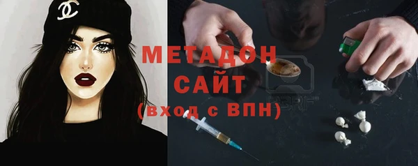 индика Арсеньев