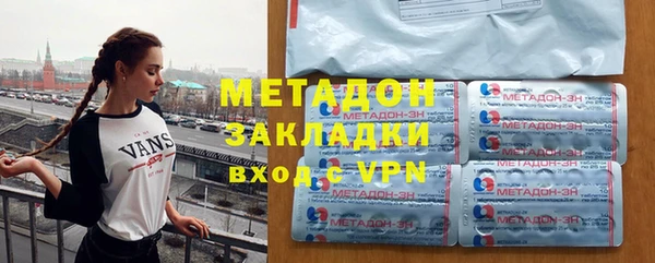 индика Арсеньев