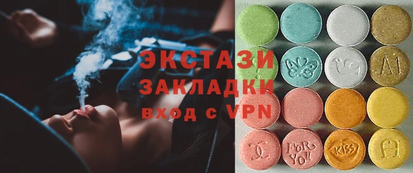 индика Арсеньев