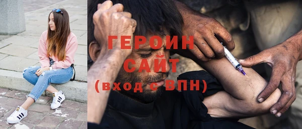 индика Арсеньев