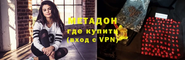 индика Арсеньев